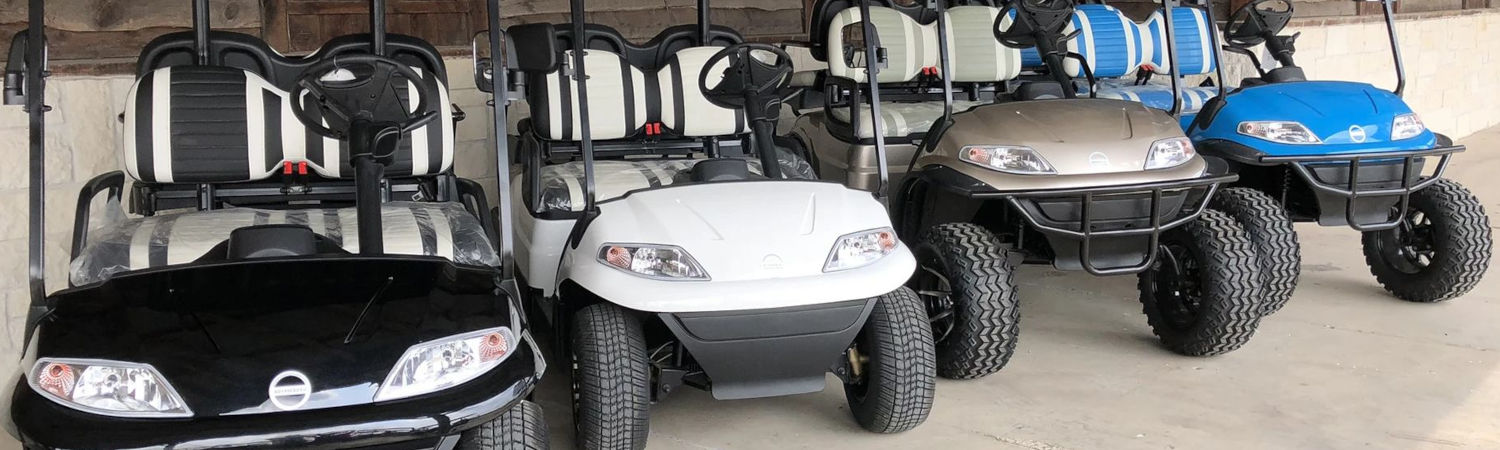 2021 Advanced-EV for sale in Lakeway EV, Montgomery, Texas